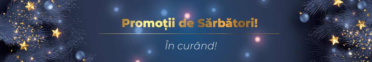 Promotii de sarbatori!