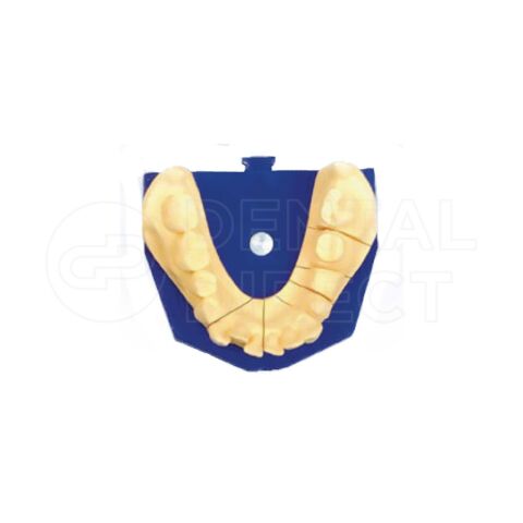 Placi mici Zeiser albastre, 100 bucati
